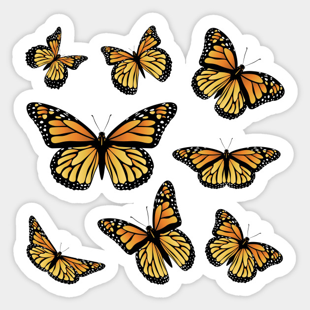 orange butterflies butterflies sticker teepublic