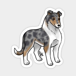 Dog - Smooth Collie - Blue Merle Magnet