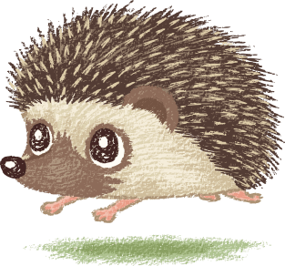 Hedgehog running Magnet