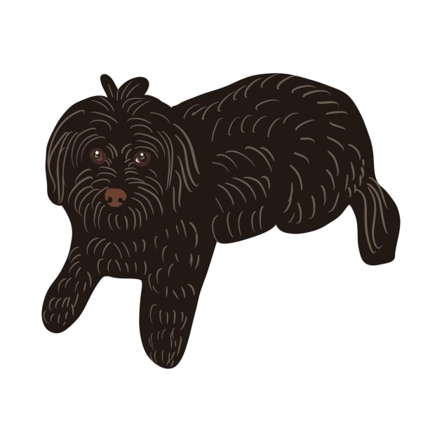 Black Maltipoo by PatternbyNOK