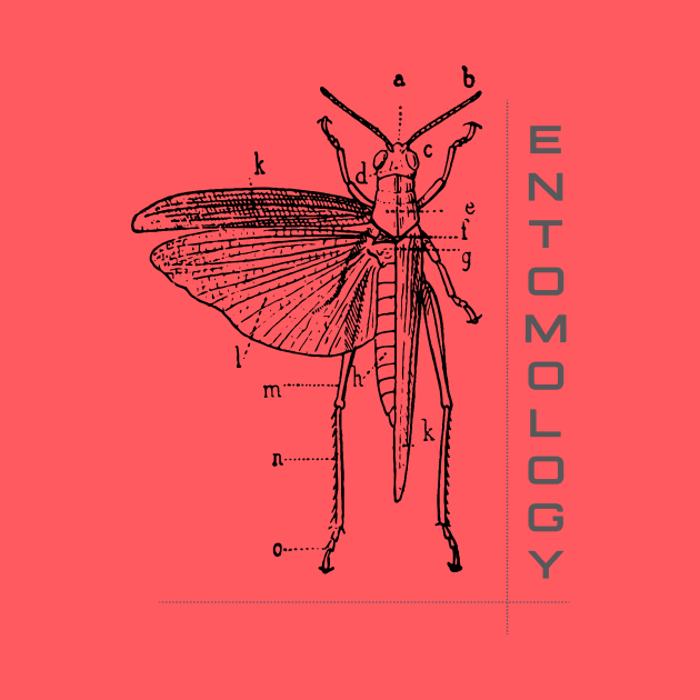 Entomology by swirlydesign