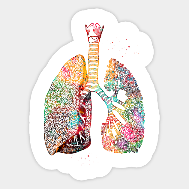 Lungs Art Lungs Sticker Teepublic Heart and lungs anatomy art collage printed on real vintage dictionary book page. lungs art