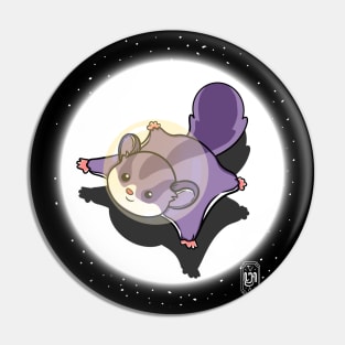 Flying to the Moon Pin