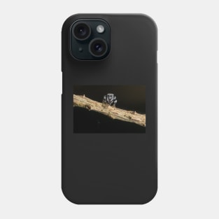 Unique and organic photo of a Salticidae Jumping spider with food Phone Case