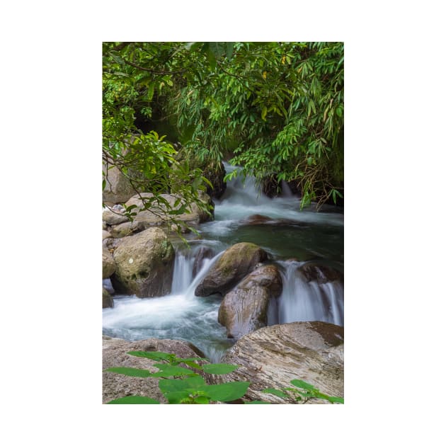 Small waterfall in a forest by likbatonboot