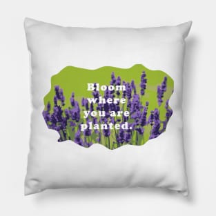 Bloom  Where You Are Planted Pillow