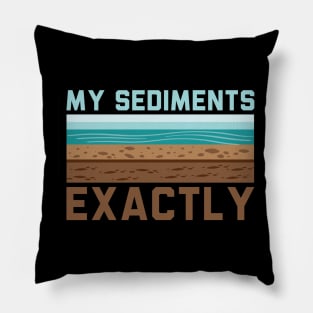 My Sediments Exactly - Funny Geologist Geology Pillow