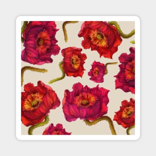 Scarlet Red Poppy Flower vintage illustration pattern Magnet