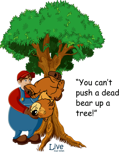 You can't push a dead bear up a tree! Kids T-Shirt by LiveFullTime