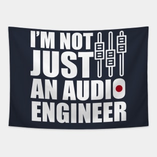 i'm not just an audio engineer Tapestry