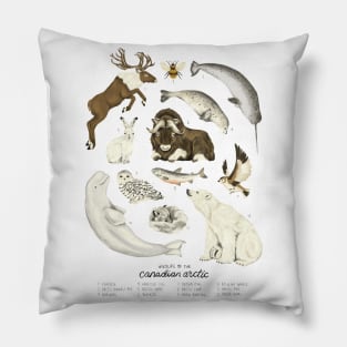 Wildlife of the Canadian Arctic Pillow