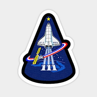 Black Panther Art - NASA Space Badge 70 Magnet