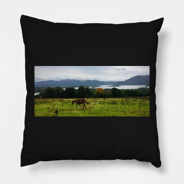 Scotland Country side Pillow by ROB51