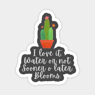 The cacti bloom Magnet