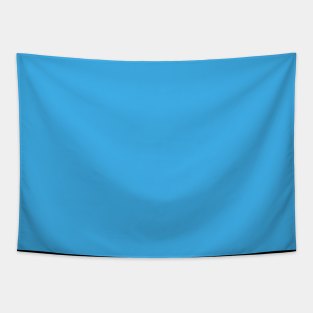 Sky Blue Tapestry