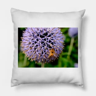 Bee On Small Globe Thistle 5 Pillow