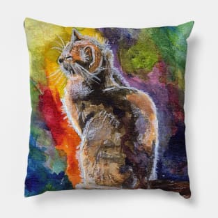 Colorful Cat Pillow