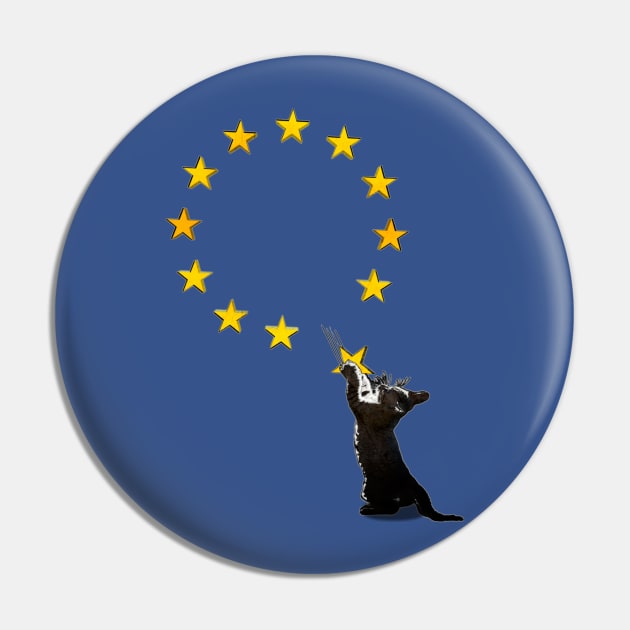 BREXIT CAT Pin by Off the Page