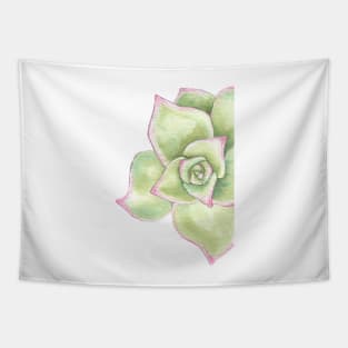 watercolor succulent echeveriamadiba Tapestry