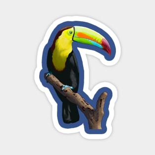 Keel Billed Toucan Magnet