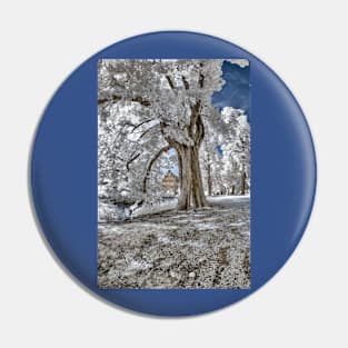 Infrared Creek Pin