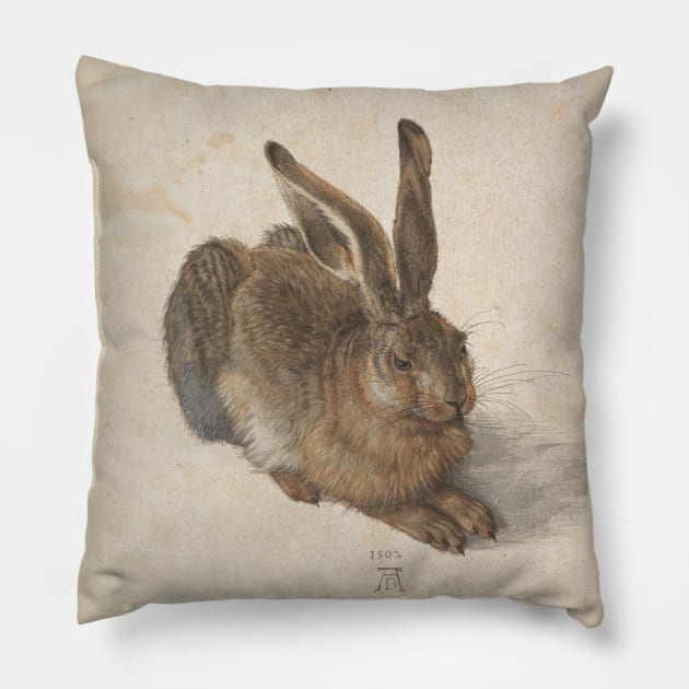 Young Hare  by Albrecht Dürer Pillow by Amanda1775