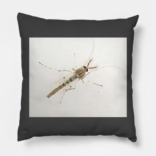 midge Pillow by Travis's Design 