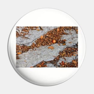 Autumn Still Life Pin