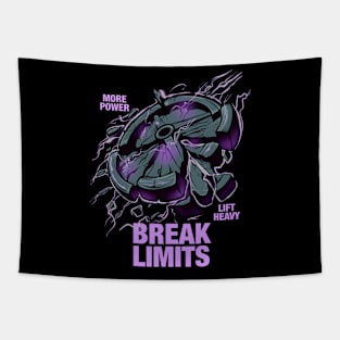 Break limits Tapestry