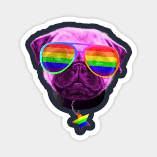 Gay Pride Pug LGBT Dog Rainbow Sunglasses Magnet