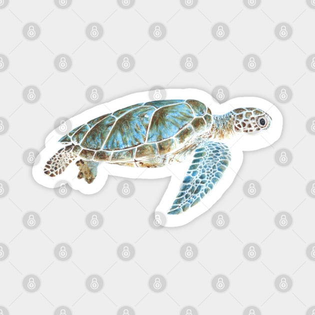 Sea turtle Magnet by Savousepate