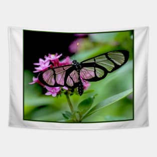 Glass Winged Butterfly Photograph Print Tapestry