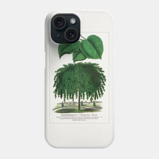 Camperdown Weeping Elm Tree Lithograph (1900) Phone Case