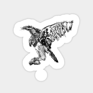 Harpy Eagle Ink Drawing Magnet