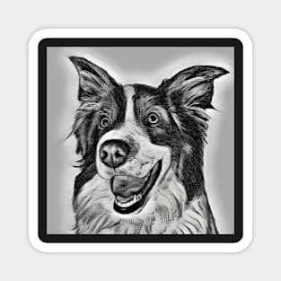 Border Collie Black and White with Grey - Hand drawn design Magnet