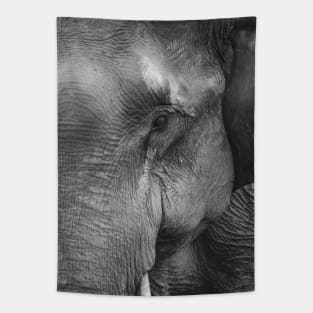 Elephant Tapestry