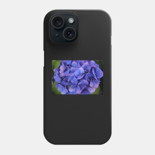 Blue hydrangea Phone Case