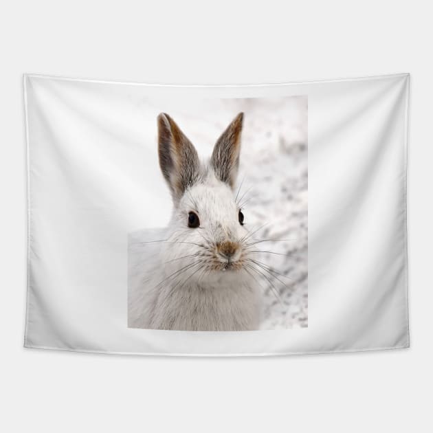 Snowshoe Hare closeup Tapestry by Jim Cumming