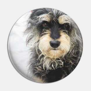 Santorini Dog Pin