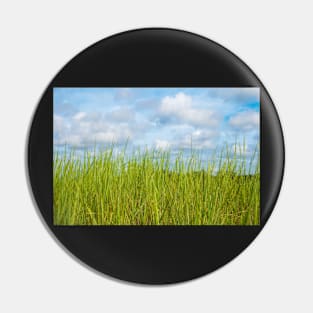 Grass and cloudy sky Pin