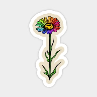 Rainbow Gerbera Daisy Magnet