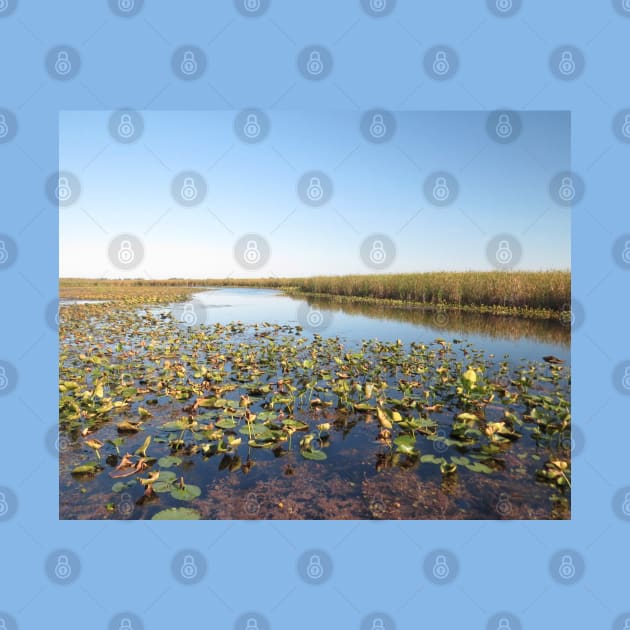 Wondrous Wetland Marsh - Point Pelee No.1 by MaryLinH