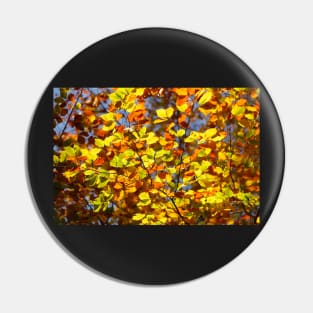 Brightly colored autumn leaves on a beech tree Pin