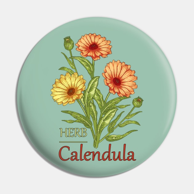 Herb Calendula-Herb plant Calendula-Spring flowers Calendula-Easter gift-Beautiful Herb flowers Pin by KrasiStaleva