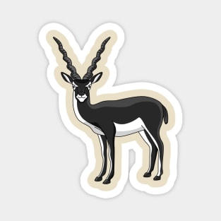 Blackbuck antelope illustration Magnet