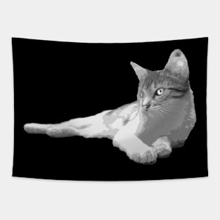 strange black and white cat Tapestry