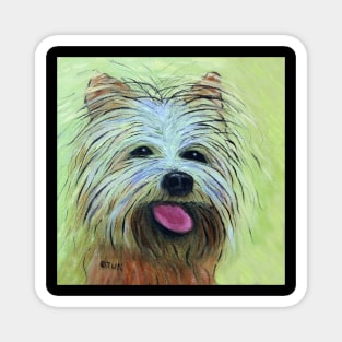 Yorkshire Terrier Abstract Magnet