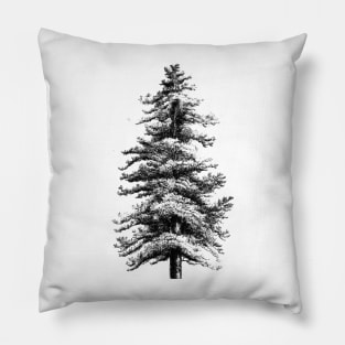 Fir - Tree Pillow