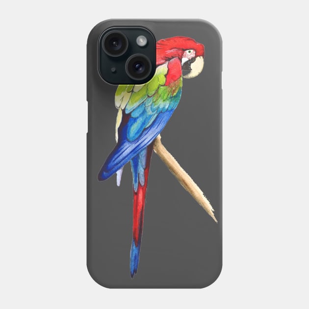 Parrot Phone Case by Bridgetdav