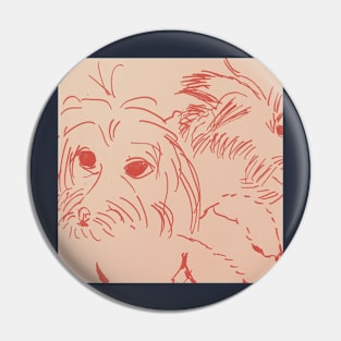 Maltipoo Drawing Sketch Pin